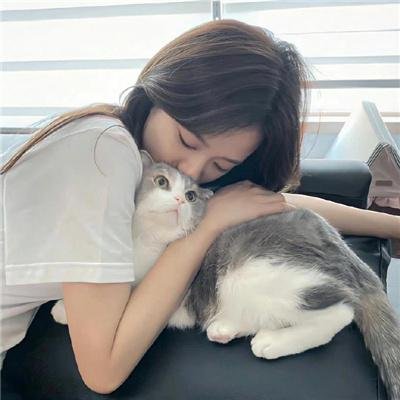 混蛋之吻